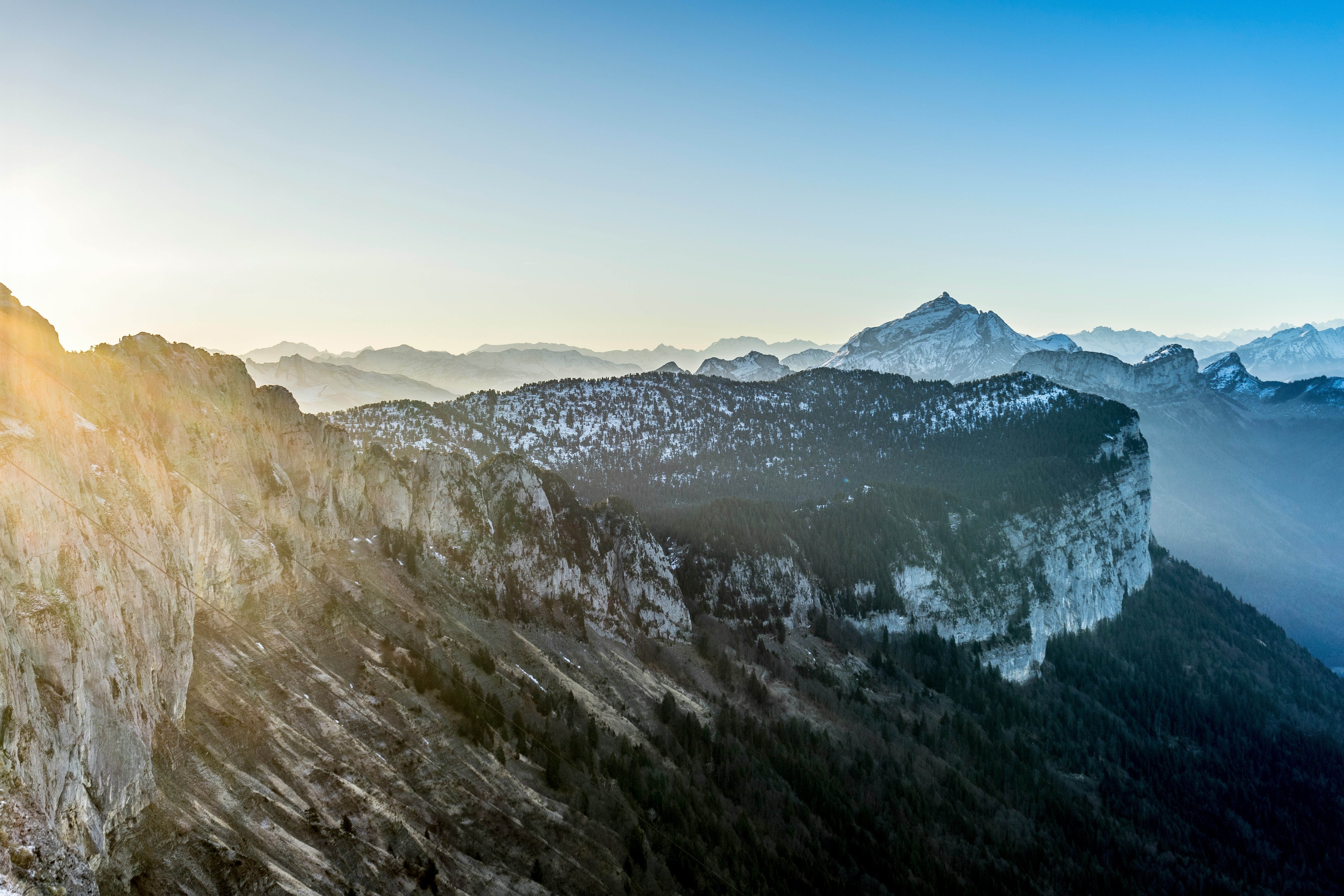 trees on cliff under clear sky